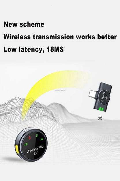 🎤 Microphone sans fil double avec récepteur – Kit portable